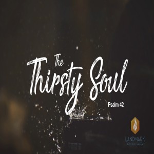 The Thirsty Soul