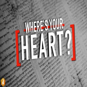 Where's Your Heart?