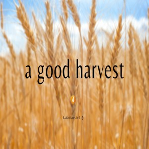 A Good Harvest