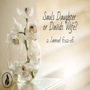 Sauls Daughter or Davids Wife?