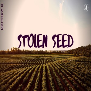 Stolen Seed