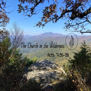 The Church in the Wilderness