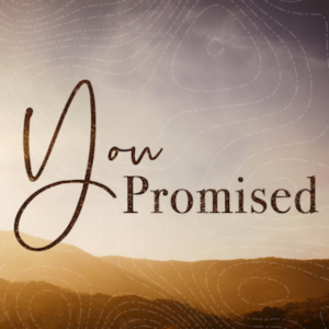 You Promised, Friday, December 10th