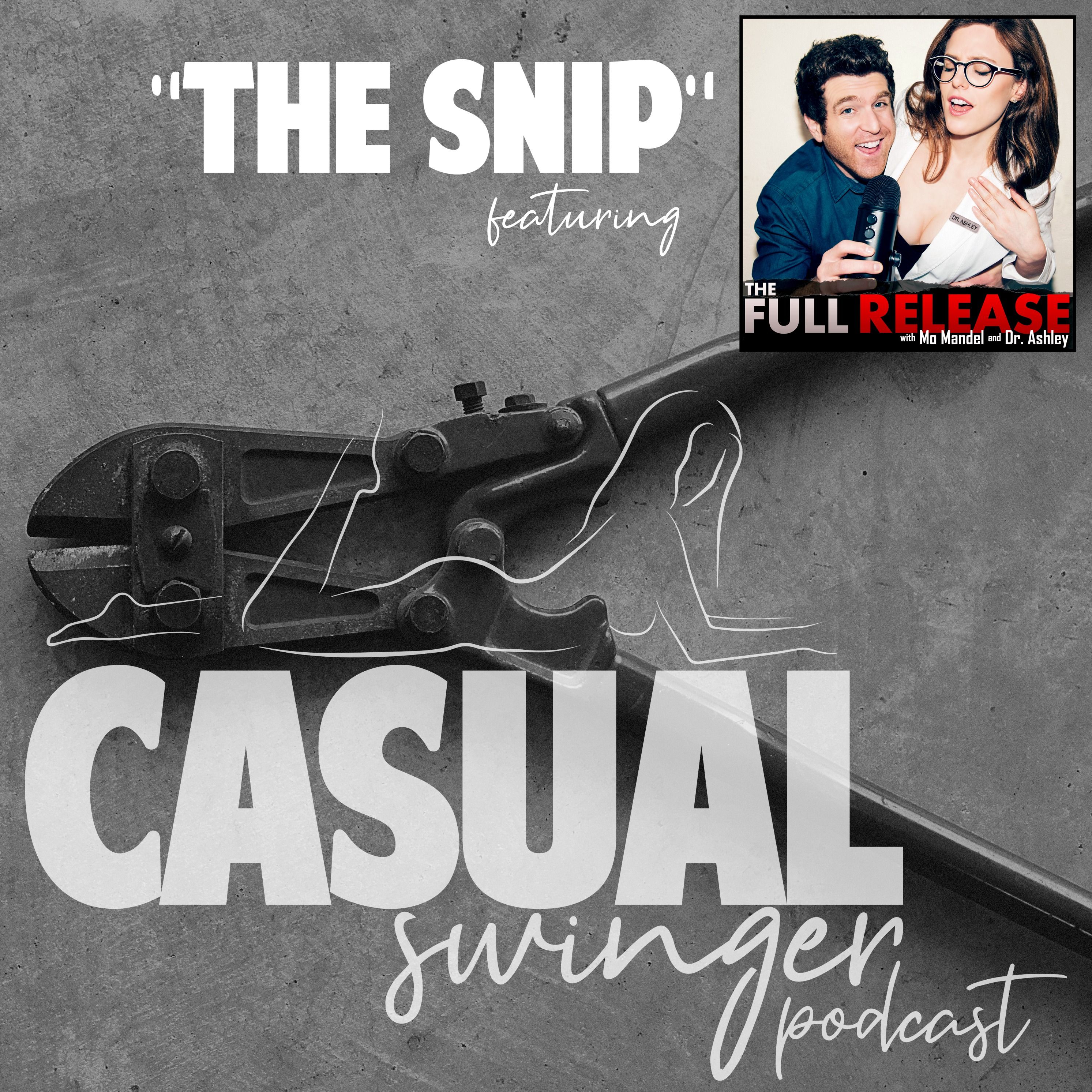Casual Swinger - A Sex Positive, Swinging Lifestyle Podcast