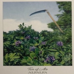 April 26, 2021 - Tarot Card of the Day  - 10 of Swords (Air)