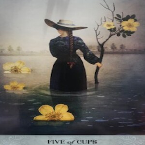 November 24, 2023 - Tarot Card of the Day - 5 of Cups