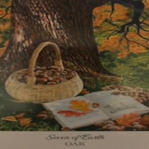December 19, 2022 - Tarot Card of the Day - 7 of Pentacles (Earth)