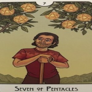 February 6, 2024 - Tarot Card of the Day - 7 of Pentacles