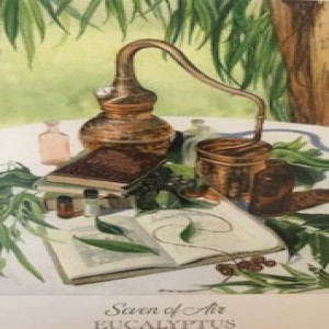 February 14, 2021 - Tarot Card of the Day - 7 of Swords (Air) (Eucalyptus)