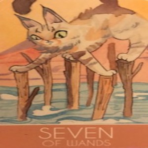 November 21, 2019 - Tarot Card of the Day - 7 of Wands