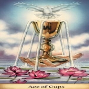 November 3, 2024 - Tarot Card of the Day - Ace of Cups