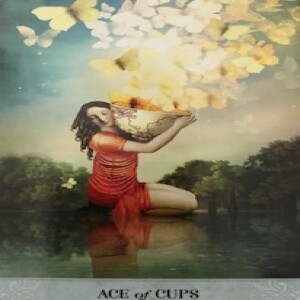 September 22, 2023 - Tarot Card of the Day - Ace of Cups