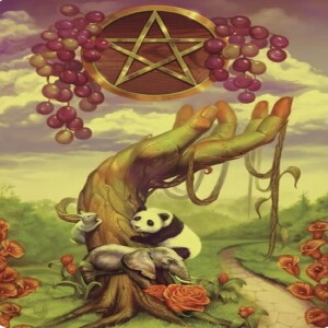 February 26, 2025 - Tarot Card of the Day - Ace of Pentacles