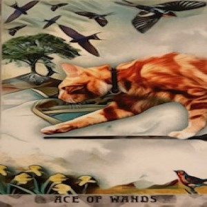 Episode Logo