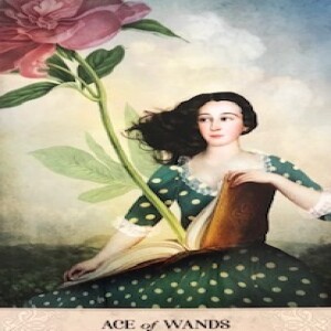 August 4, 2023 - Tarot Card of the Day - Ace of Wands