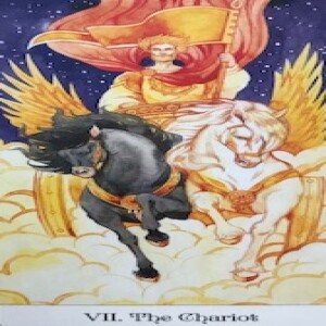 July 14, 2024 - Tarot Card of the Day - The Chariot