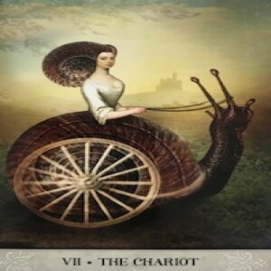 May 7, 2024 - Tarot Card of the Day - The Chariot