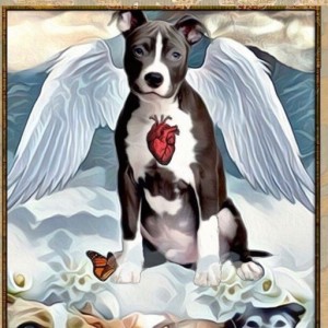 September 28, 2019 - Tarot Card of the Day - Judgement