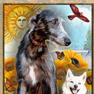 October 8, 2019 - Tarot Card of the Day - The Sun