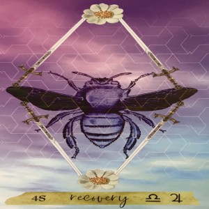 Episode Logo