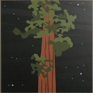 August 25, 2020 - Tarot Card of the Day - The Hermit (Sequoia)