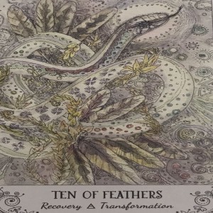 March 27, 2021 - Tarot Card of the Day - 10 of Swords (Feathers)