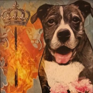 April 21, 2020 - Tarot Card of the Day - Queen of Wands