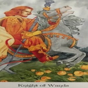 May 29, 2025 - Tarot Card of the Day - Knight of Wands