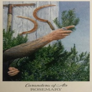 March 2, 2021 - Tarot Card of the Day - King of Swords (Curandera of Air) (Rosemary)