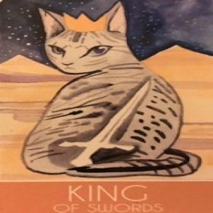 November 12, 2019 - Tarot Card of the Day - King of Swords