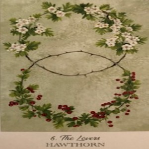 Episode Logo