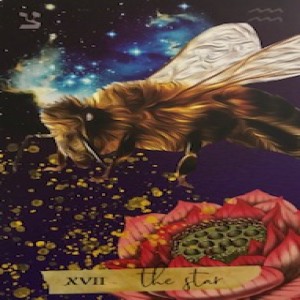 Part1 - July 7, 2021 - Tarot Card of the Day - The Star