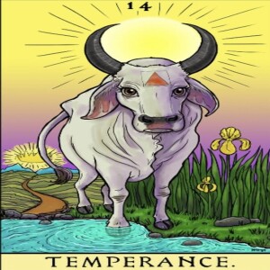 December 14, 2024 - Tarot Card of the Day - Temperance