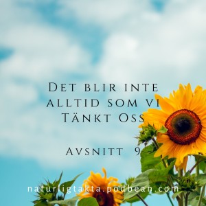 Avsnitt 9. Det blir inte alltid som vi tänkt oss.