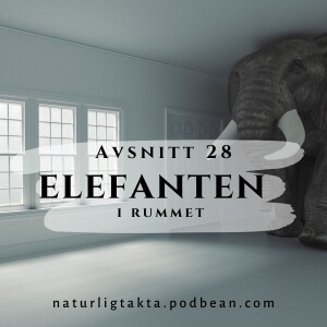 Avsnitt 28. Elefanten i rummet.