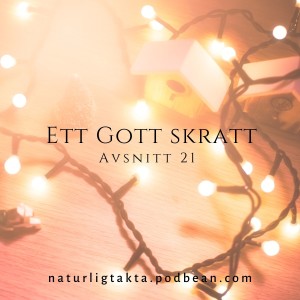 Avsnitt 21. Ett gott skratt...