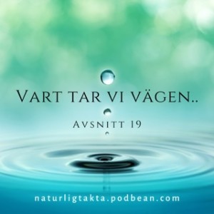 Avsnitt 19. Vart tar vi vägen...?