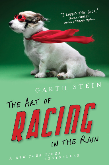 Spiraken Book Club February 2014: Part 1- The Art of Racing In The Rain