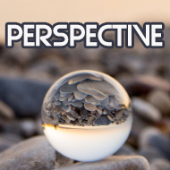 Perspective