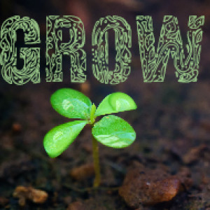 -Grow- (Part 2)
