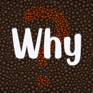 Why? - with John Fowler