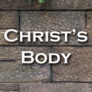 Christ’s Body (Part 2)