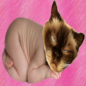 Episode 06: I Can't Stop Comparing My Newborn Baby to a Cat