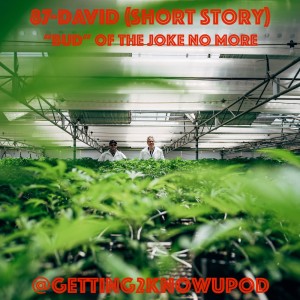 87- David (Short Story) “Bud” of the Joke No More
