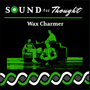 #20 Wax Charmer