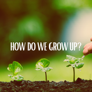 How Do We Grow Up?