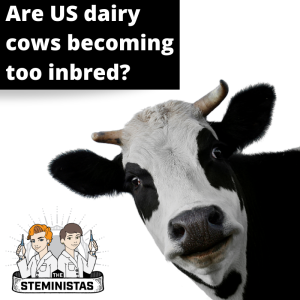 Are US Dairy Cows becoming too inbred?