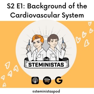 Background of the Cardiovascular System