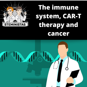 The immune system, CAR-T therapy and cancer