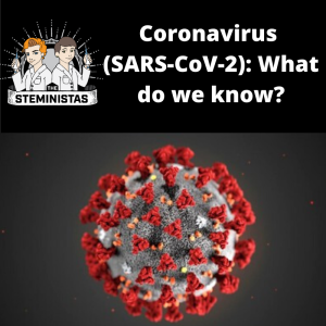 Coronavirus (SARS-CoV-2): What do we know?